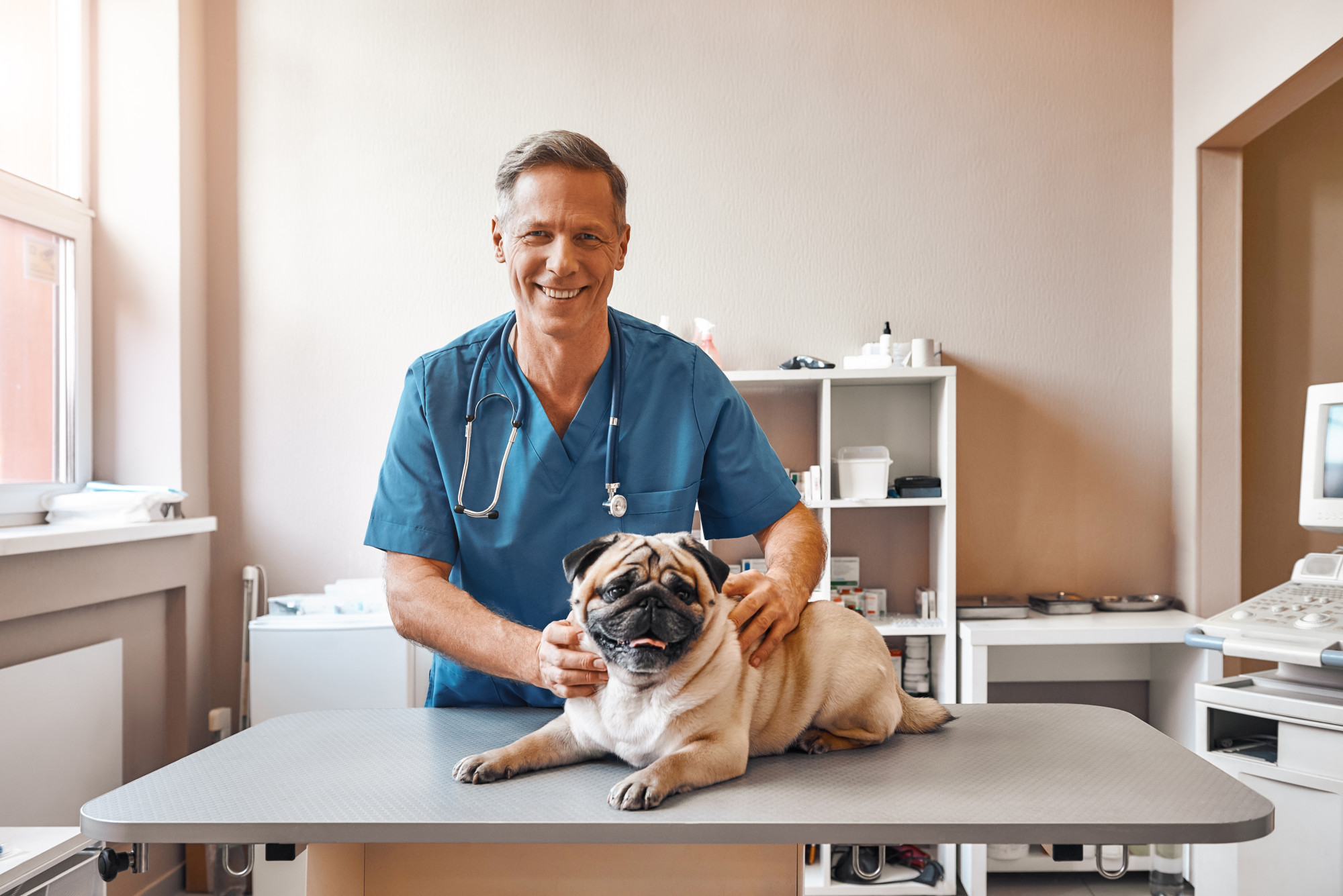 How Often Should You Take Your Pet for a Vet Checkup? Slaton