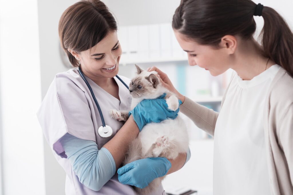 Veterinarian-pet-owner-and-cat