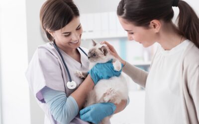 Veterinarian-pet-owner-and-cat