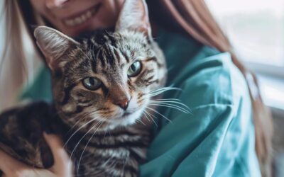 Veterinarian holding a happy cat during routine wellness checkup at Slaton Veterinary Hospital in Thousand Oaks